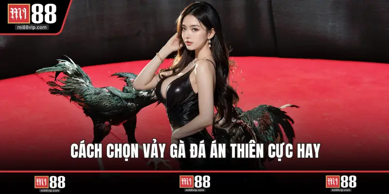 Cách chọn vảy gà đá án thiên cực hay