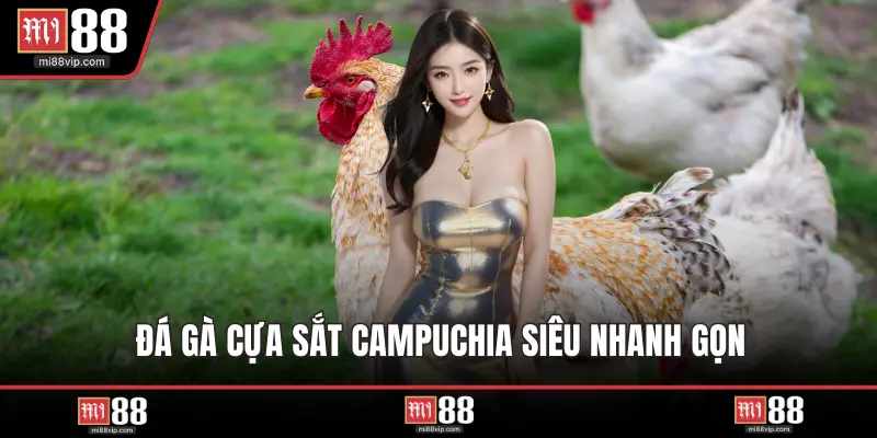 Đá gà cựa sắt Campuchia siêu nhanh gọn