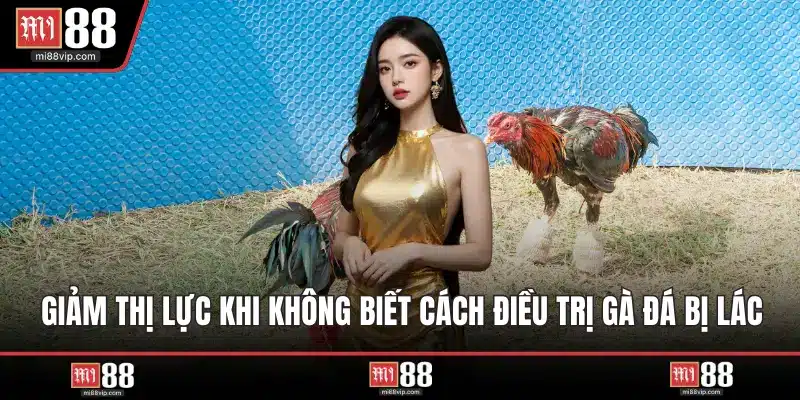 Giảm thị lực khi không biết cách điều trị gà đá bị lác